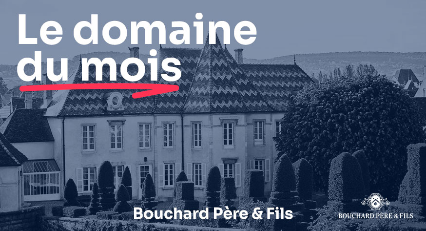 Le Domaine du mois : Bouchard Père & Fils