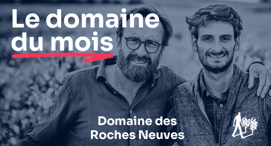 Domaine des Roches Neuves